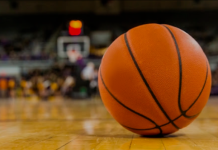 Druga liga 21. kolo: Igra se u Šapcu, Novom Sadu, Beogradu i Nišu