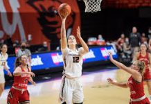 Jelena Mitrović veliko pojačanje Novosadske ŽKA